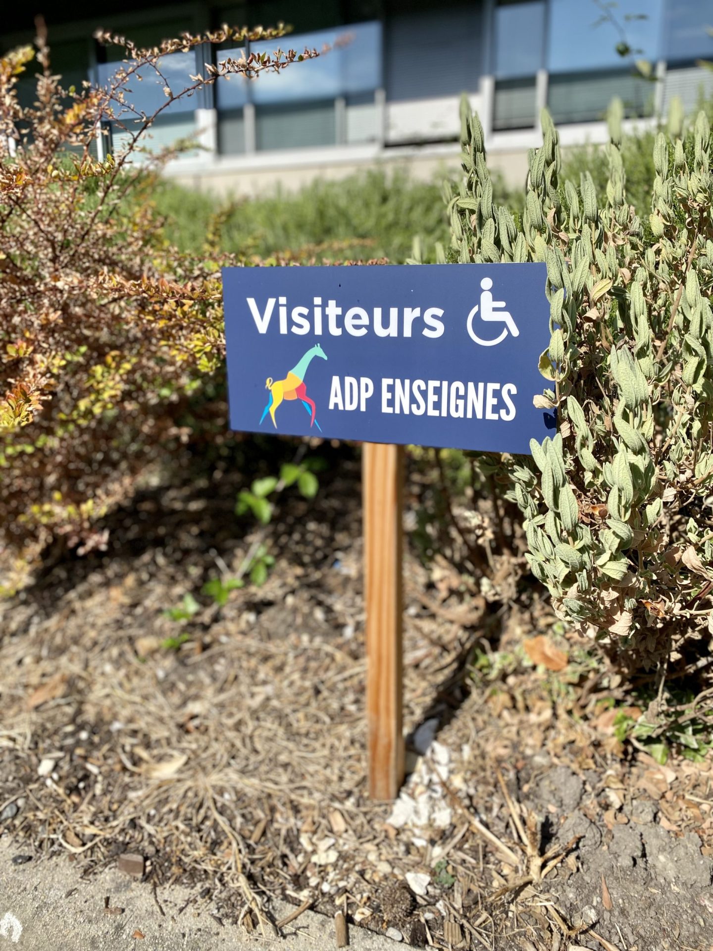 SIGNALETIQUE  La plaque professionnelle - ADP Enseignes